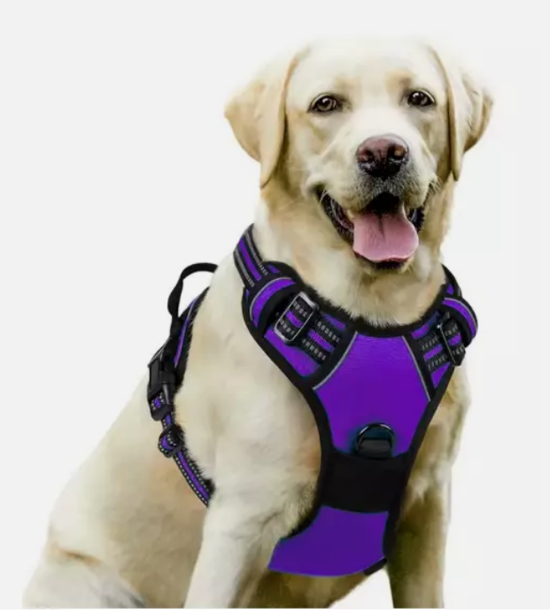 Dog Harness – No Pull Reflective